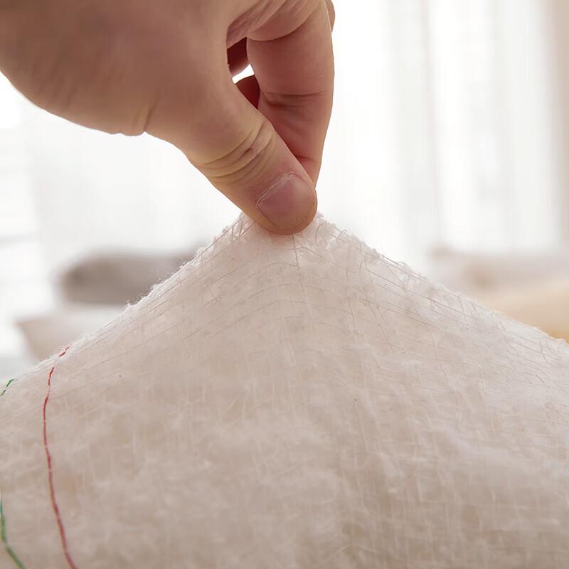 Mr. Gong's Warm Cotton Quilt