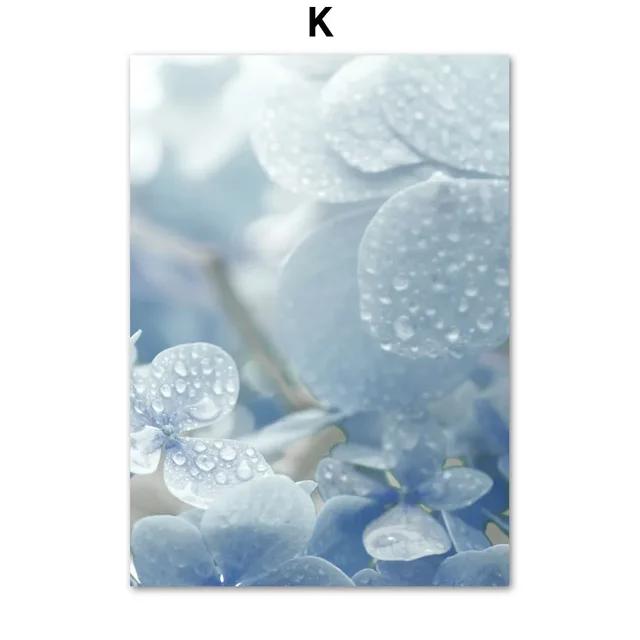 Natural Blue and White Flower Beach Crown Wall Art Canvas Painting  Nordic Posters and Prints for Interior Home Decor