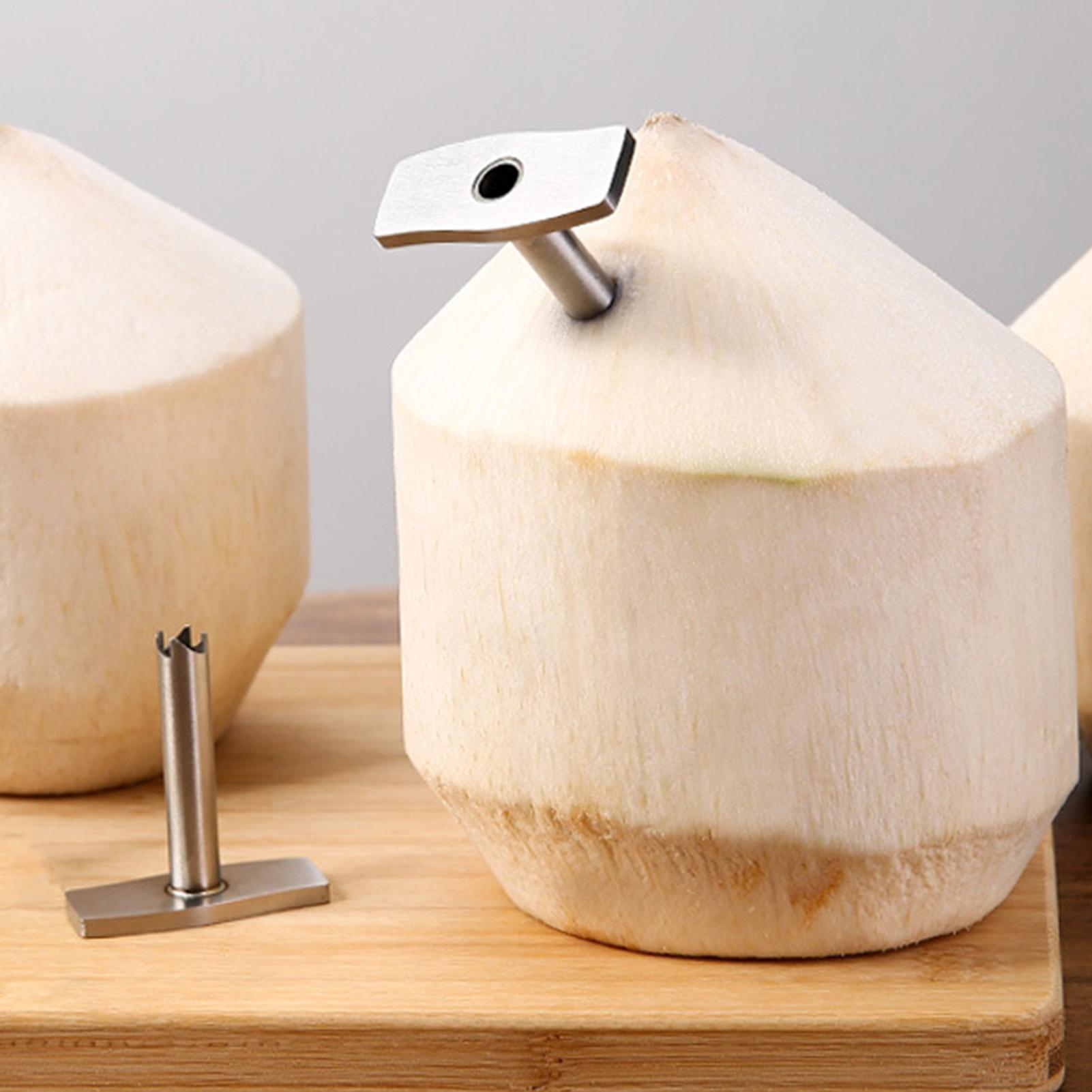 Coconut Opener Tool Kitchen Punch Tool Coconut Hole Puncher Coconut Punch Tool Stainless Steel Coconut Tool Coconut Opener Tools CN