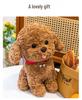 Peluche Cane Teddy Carino - Peluche per Matrimoni e Compleanni di Bambini
