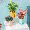 Sturdy Durable Pot Tray Multi Colors Thickened Plastic Plant Pot Saucer for Garden