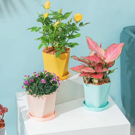 Sturdy Durable Pot Tray Multi Colors Thickened Plastic Plant Pot Saucer for Garden