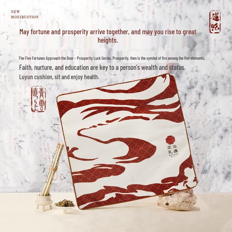 Aixiu Tang C1Pro Heated Seat Cushion, Wudang Co-branded