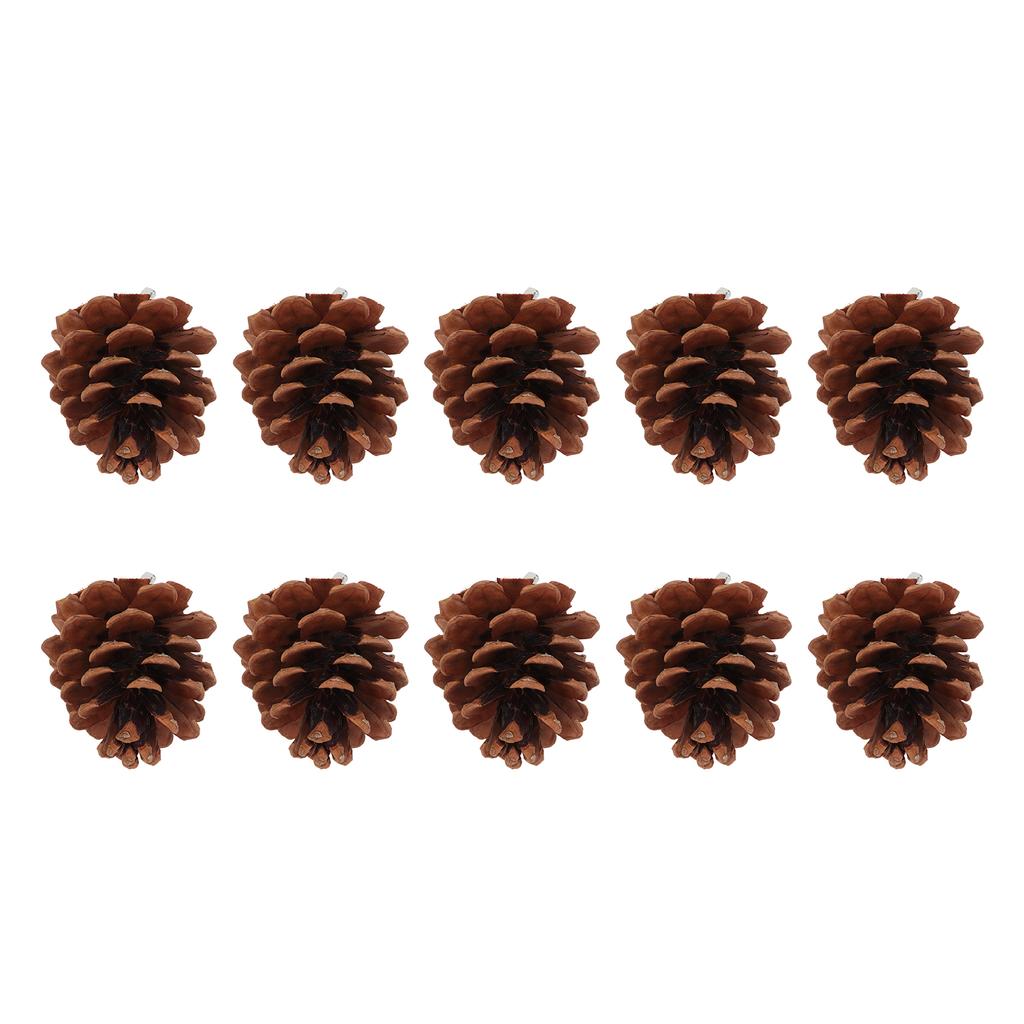10pcs Bird Bite Pine Cones Natural Pine Cone Chewing Bird Toy for Parakeet Cockatiel Conure Finch Budgie Macaw