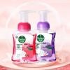 Antibacterial Foaming Hand Wash Duo Pack