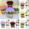 Marigold Tulip Material Pack With Basket For Cryptic Twisted Stick Hair Root Hair Strips