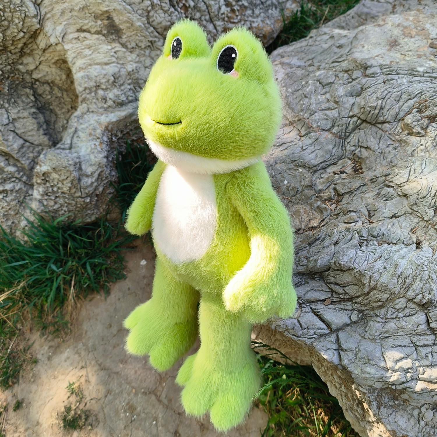 Bai Fen Bai Dolls And Toys Frog Doll Original Design Soothing Plush Toy Birthday Gift
