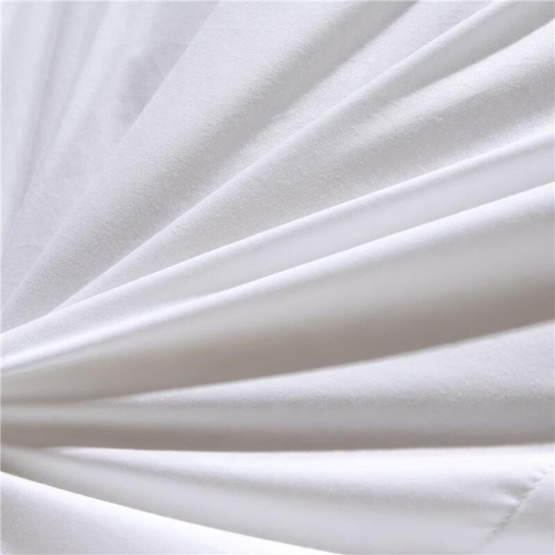 Baiweisi All-Season Velvet Feel Duvet Insert