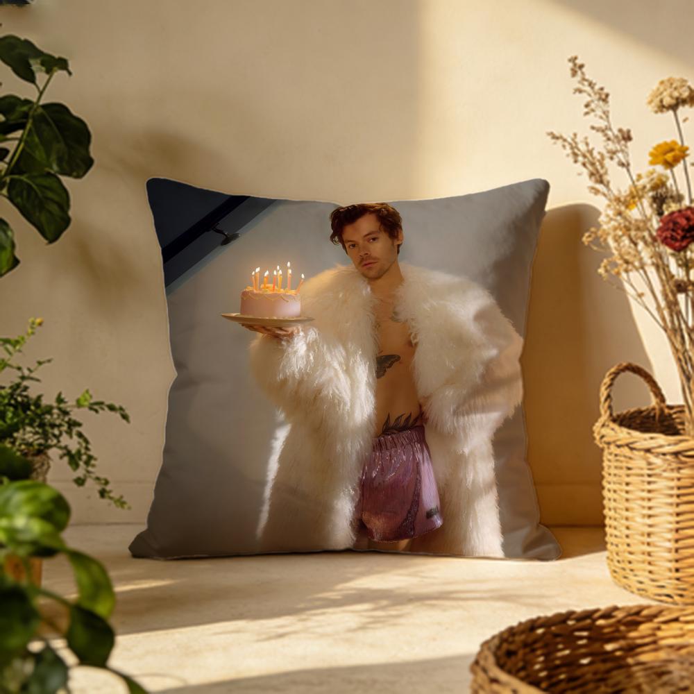 Fashion Hharry Stylesing Cushion Cover Versatile DoubleSided Pillow Case Fit for Sofa Bed Car Daily Decor