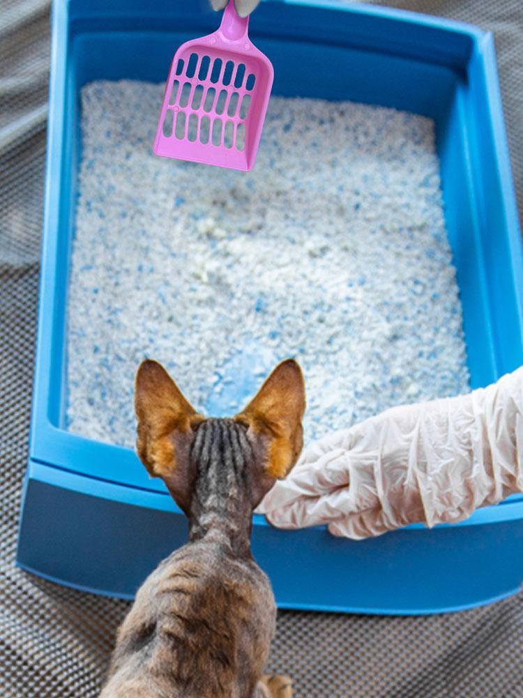 Cat Litter Scoop Set Clashing Cat Poop Tool High-Grade ABS Plastic Durable Kitten Toilet Cleaning Tool Pet