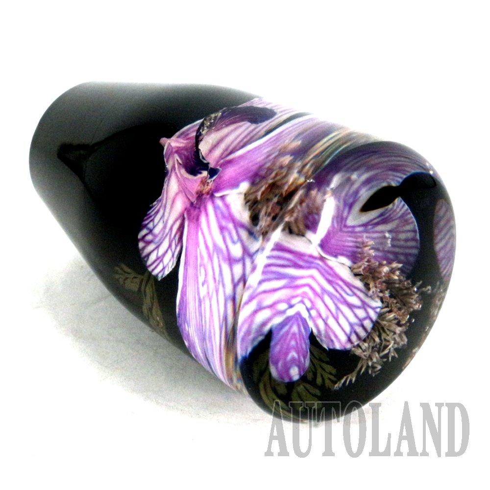Underwater Flower Shift Knob / Real Orchid / Flower Artwork / 3.5 Inches (9 Cm) / Purple [Autoland/Autoland]