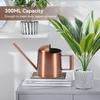 Small Watering Can, 10oz/300ml Stainless Steel Water Can for Indoor Plants Small Long Spout Watering Pot for House Plants, Succulents and Bonsai