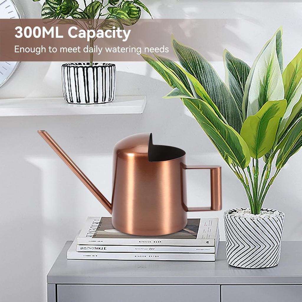 Small Watering Can, 10oz/300ml Stainless Steel Water Can for Indoor Plants Small Long Spout Watering Pot for House Plants, Succulents and Bonsai