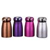 Shangqi Titanium Mini Thermos with Temperature Display