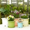 Plastic Roots Control Pot Rose Garden Nursery Green Plant Breathable Thickened Planter Drainage Holes Gardening