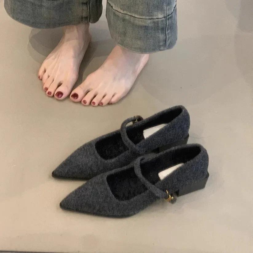 Fashion Pointed Single Shoe Women's Spring New Style French Thick Heel Shallow Mouth Shoes Elegant Low Heel Women's Shoes