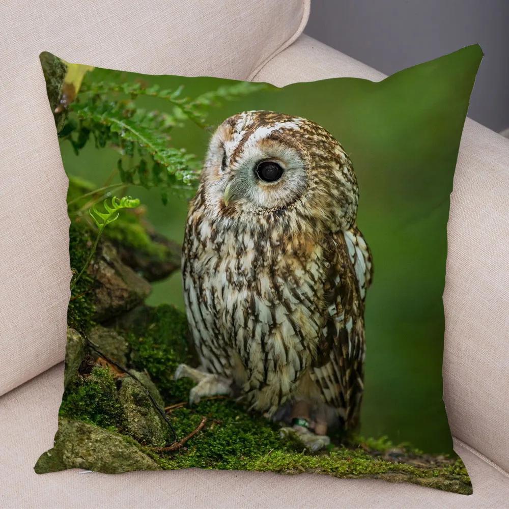 Cute Animal Pillowcase Wild Owl Cushion Cover Decorative Sofa Home Children's Room