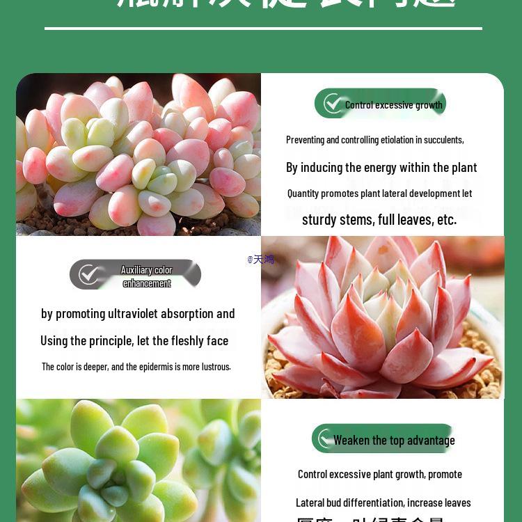 Compact Succulent Growth Hormone & Color Enhancer - Anti-Etiolation Dwarfing Nutrient Solution