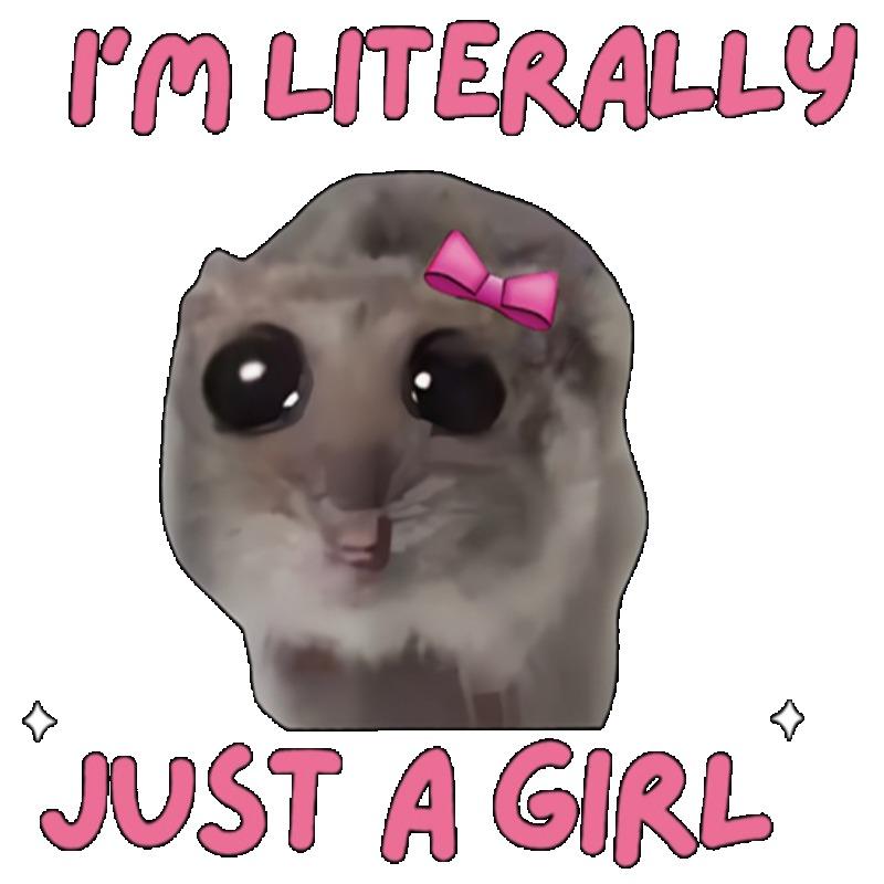 Women T Shirt Black I M Literally Just A Girl With Hamster And Pink Bow Print Casual Daily Wear Top