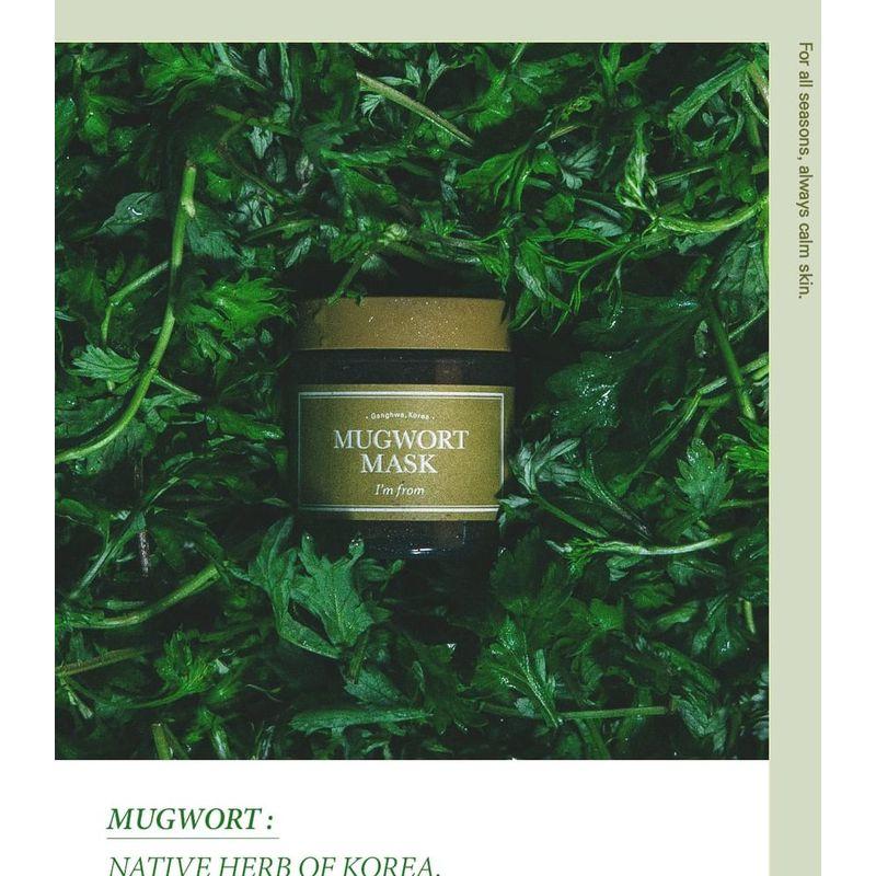 I'm from - Mugwort Mask Bundle Set