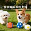 Latex Squeaky Dog Toy Small To Medium Dogs - Durable Chew Interactive Play Fetch In Football Soccer Volleyball