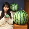 Creative Soft Round Watermelon Throw Pillow Plush Toy Doll Big Watermelon Doll Home Pillow Cushion Doll