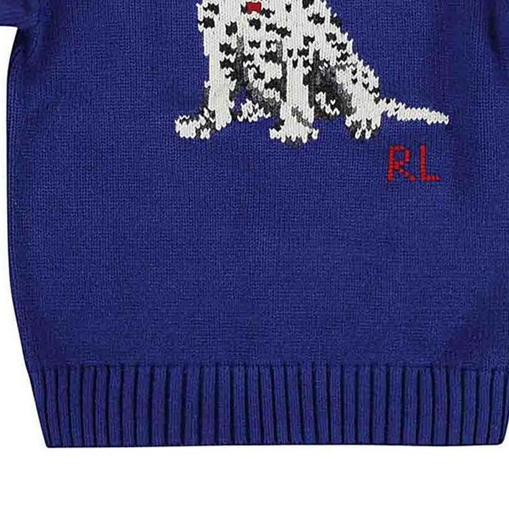 Polo Ralph Lauren Kinder Bedruckter Rundhalsausschnitt Figurbetonter Pullover Kinderpullover Blau 323920667-001