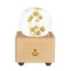 Hot Item Novelty Gifts 2025 Trends New Innovative Product Ideas Real Flower Light Bluetooth Speaker Holiday Festival Gift