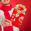 6pcs Chinese Spring Festival Packet Money Pouches Accessory for New Year Gifts