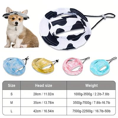 Giyim ve ayakkabı – Köpek için şapkalar