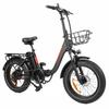 BAOLUJIE DZ-2030 Electric Bike 20*4.0'' Inch Tires 500W Motor 48V16AH Battery Max Speed 40KM/H Mechanical Disc Brakes