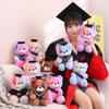 Cute Dress Colorful Doctor Bear Doll Plush Toy Teddy Bear Graduation Bear Doll Student Graduation Gift