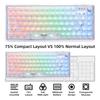 SUEHIODHY Hot Swappable Mechanical Keyboard Wireless Backlit RGB Clear K60 Keyboard Cherry Profile Transparent Keyboard Keycaps with VIA Programmable