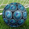 Marine Life Through Porthole Round Football Size 5 Adult Ball Suitable for Training Matches and Outdoor Team.