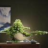 Simulated Welcome Pine Ornament New Chinese Entrance Living Room Office Hotel Clubhouse Decorative Landscape Landscaping