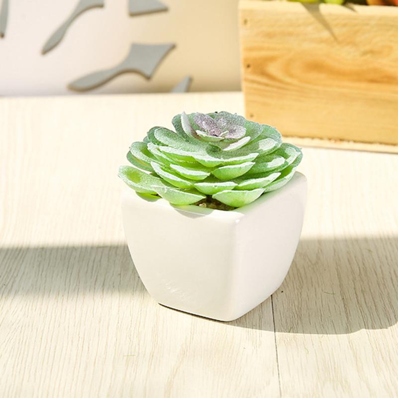 Set 2 Piante Grasse Finte Con Vasi Conchiglia – Decorazione Interni, Verde Artificiale Per Scrivania E Casa