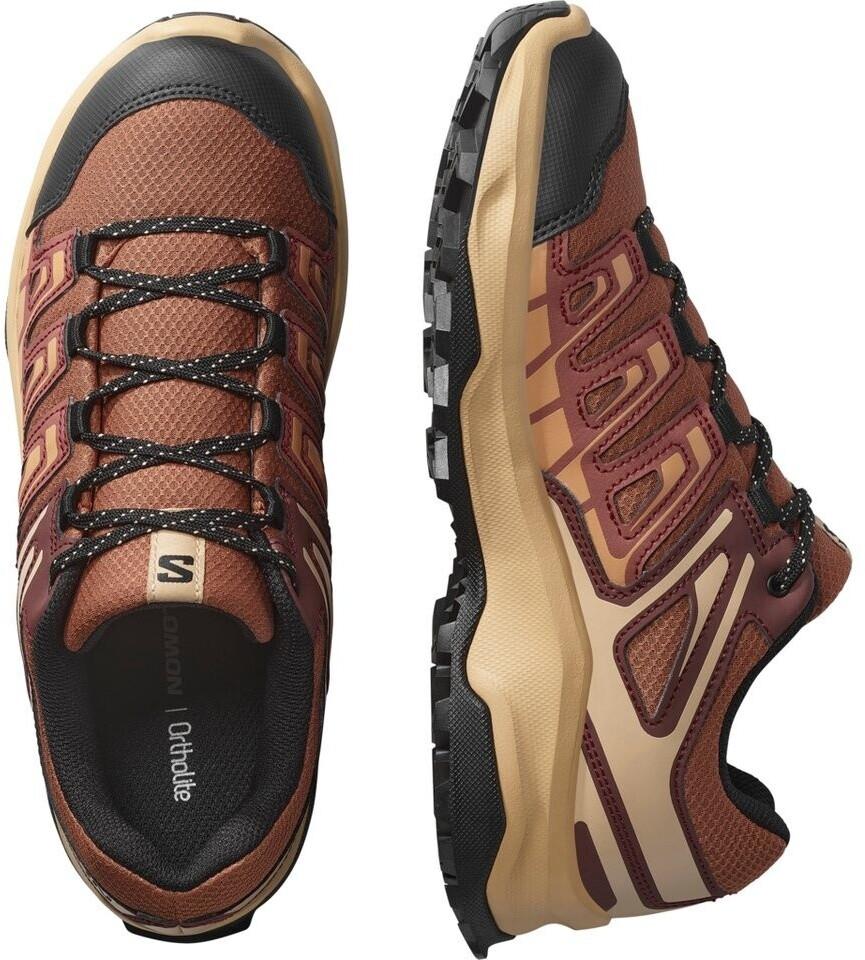 Hiking Shoes Salomon Extegra Multisportschuhe Brown Henna Butterum