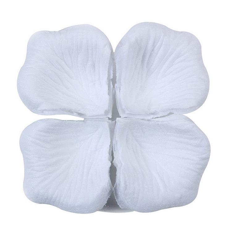 

Romantic Rose Petal Decorations for Weddings, Proposals, and Valentine s Day