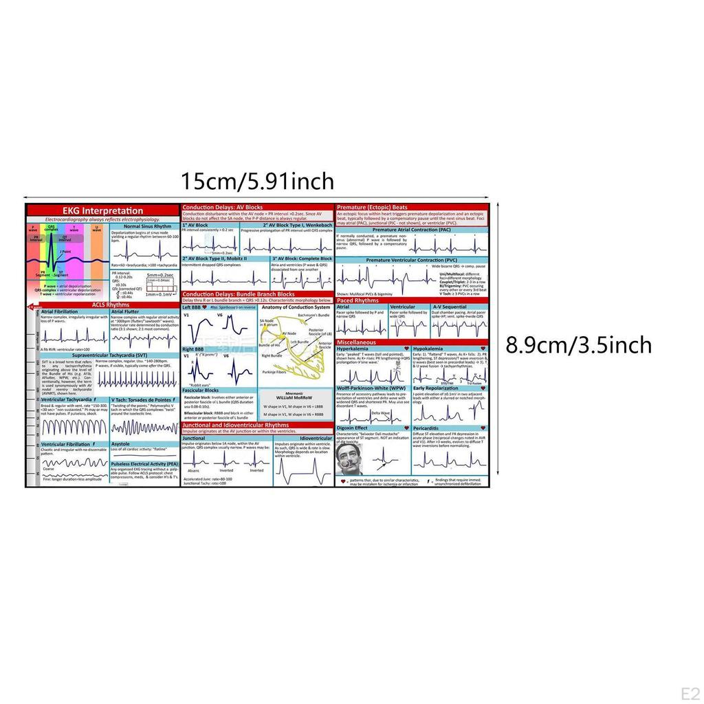 Ekg Pocket Guide Rhythm Interpretation Learning Display Portable Student Training Essentials
