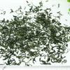 2023 chinesischen Hohen Bergen Yunwu Grün Tee Echt Frühling Tee Gesundheit Pflege