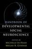 Kniha Handbook of Developmental Social Neuroscience