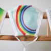 Face Mask Rainbow Adult With Filter