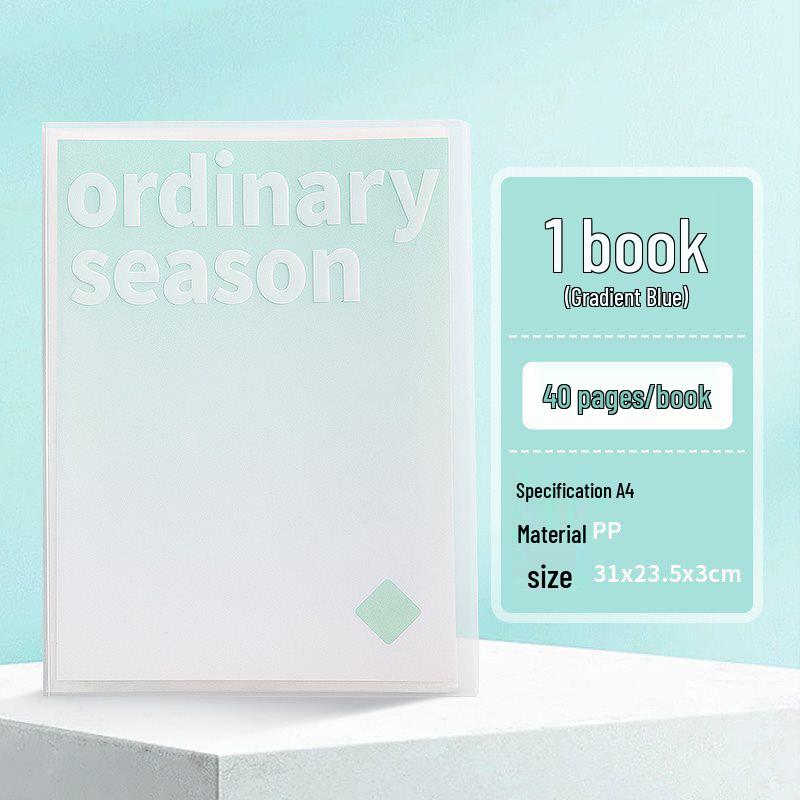 Transparent Gradient Document Holder for Students - Class 2 to Grade 3