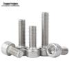304 Stainless Steel Hex Socket Head Cap Screw
