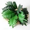 Deliciosa Plastic Monstera Epipremnum Aureum Rohdea Japonica Plant Artificial