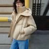 ELLE Minimalist Solid Color Hooded Design Warm Short Sleeve Duck Down Jacket Women outerwear EY52506
