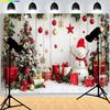 Front Door Window Christmas Day Wreach  Photography Backdrops New Year Living Room Portrait Holiday Party Photo Background DD-12