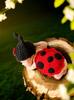 Accessori per studi fotografici – Accessori per servizio fotografico