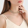Accessories, Street Tide Full Diamond Micro-inlaid Neck Chain Necklace, Fashionable and Sexy Flash Diamond Short Collarbone Necklace