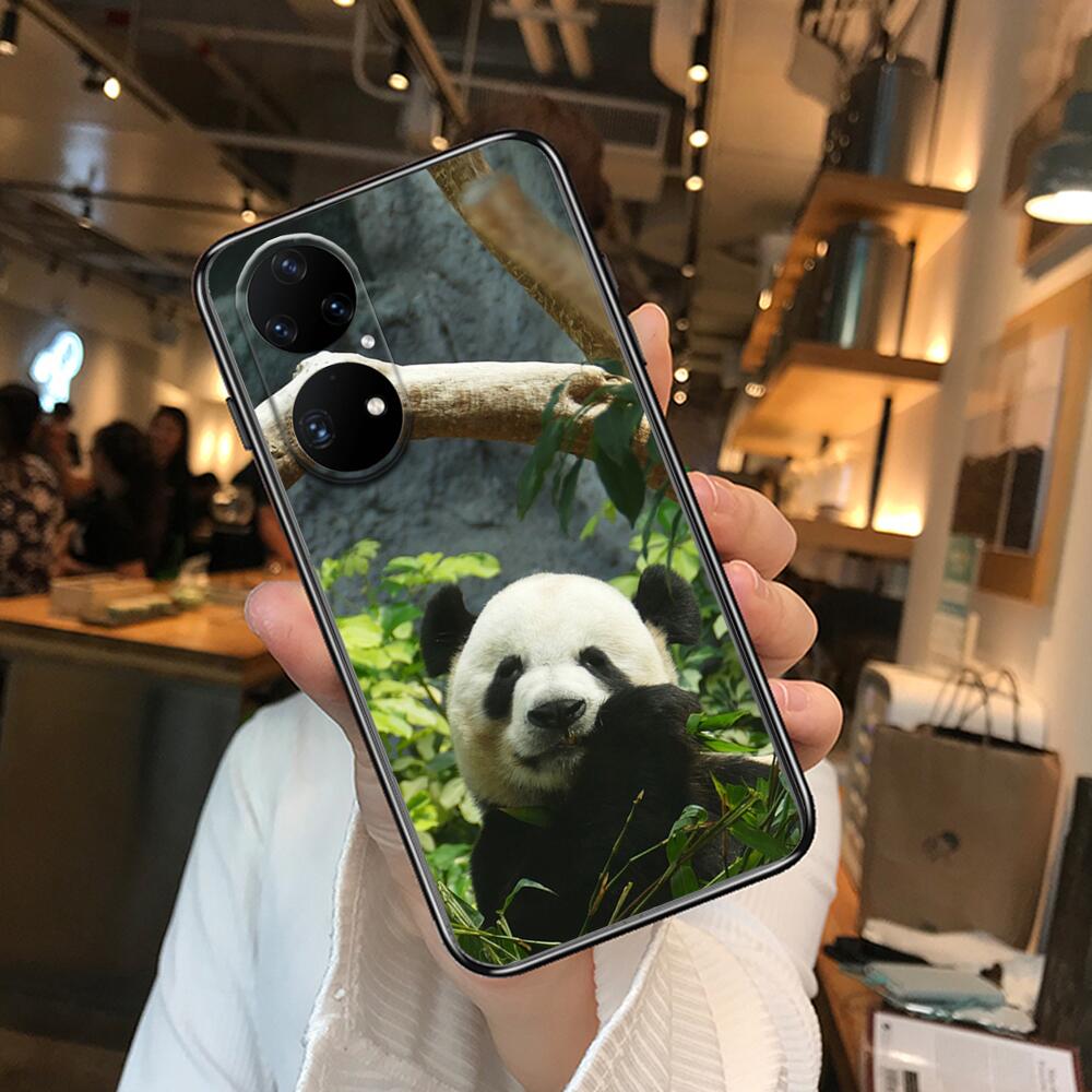 Super roztomilé pouzdro na telefon Panda pro Huawei p50 P40 p30 P20 10 9 8 Lite E Pro Plus Black Etui Coque Painting Hoesjes comic fas